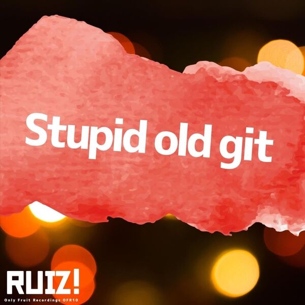 Cover art for Stupid Old Git